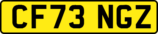 CF73NGZ
