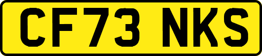 CF73NKS