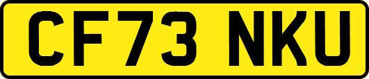 CF73NKU