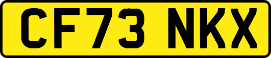 CF73NKX