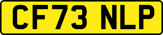 CF73NLP