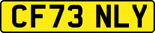 CF73NLY