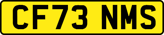 CF73NMS