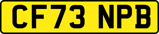 CF73NPB