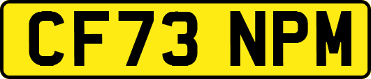 CF73NPM