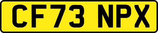 CF73NPX