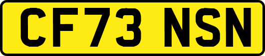 CF73NSN
