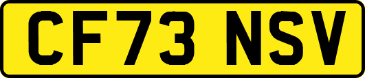 CF73NSV