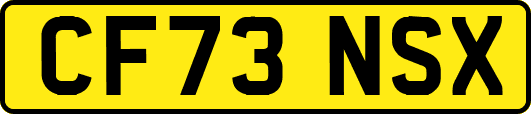 CF73NSX