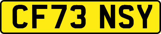 CF73NSY