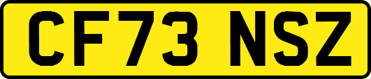 CF73NSZ