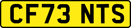 CF73NTS