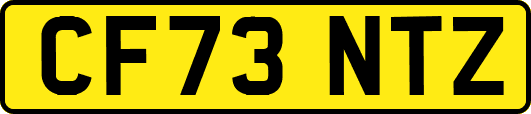 CF73NTZ