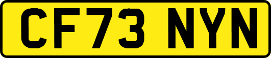 CF73NYN