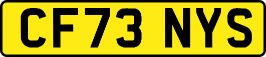 CF73NYS
