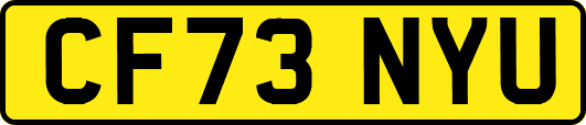 CF73NYU