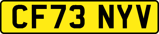 CF73NYV