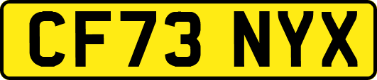 CF73NYX