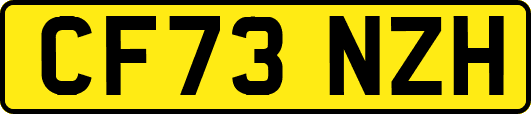 CF73NZH