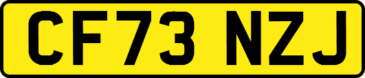 CF73NZJ