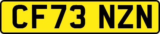 CF73NZN