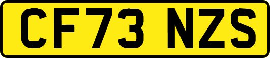 CF73NZS