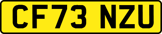 CF73NZU