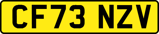 CF73NZV