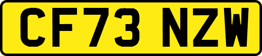 CF73NZW
