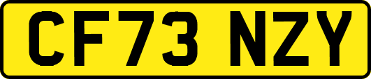 CF73NZY