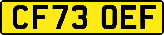 CF73OEF