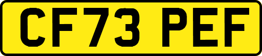 CF73PEF