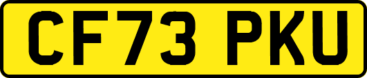CF73PKU