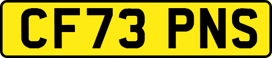 CF73PNS