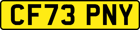 CF73PNY