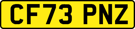 CF73PNZ