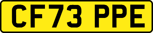 CF73PPE