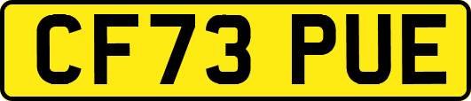 CF73PUE