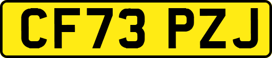 CF73PZJ