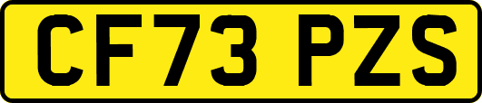 CF73PZS