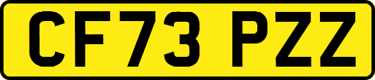 CF73PZZ