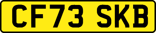 CF73SKB