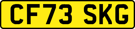 CF73SKG