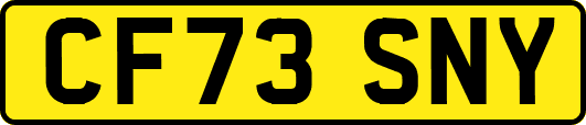 CF73SNY