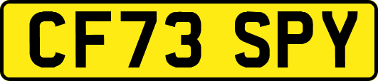 CF73SPY