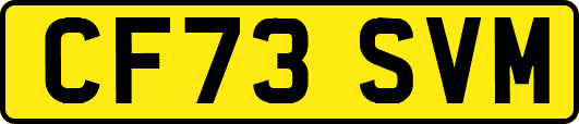 CF73SVM