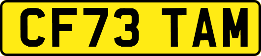 CF73TAM