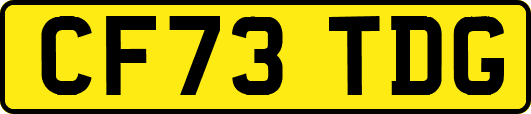 CF73TDG
