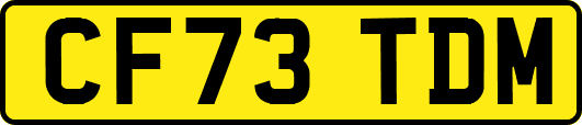 CF73TDM