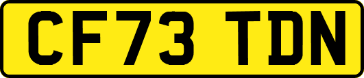 CF73TDN